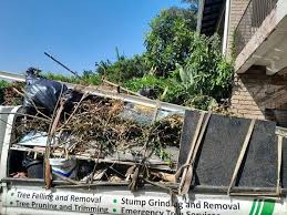 Best Moving and Downsizing Cleanouts  in St Stephen, SC